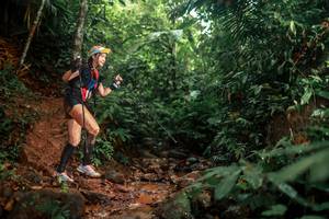 BIB: 
                            <button type="button" onclick="openModal(24858878)" class="btn btn-primary btn-sm float-right btn-popup" data-toggle="modal" data-target=".modal-high-quality">
                        <i class="fas fa-shopping-cart"></i> Add to Cart
                    </button>
                                            <button type="button" onclick="isThisMe(24858878, true)" class="btn btn-success btn-sm float-right btn-popup btn-isme hidden" data-toggle="tooltip" data-placement="bottom" title="นี่คือรูปของคุณใช่ไหม คลิกที่นี่เพื่อเอาเข้าอัลบั้ม">
                        <i class="fas fa-plus"></i> Add to album
                    </button>
                    <button type="button" onclick="isThisMe(24858878, false)" class="btn btn-warning btn-sm float-right btn-popup btn-isnotme hidden">
                        <i class="fas fa-ban"></i> Remove from album
                    </button>